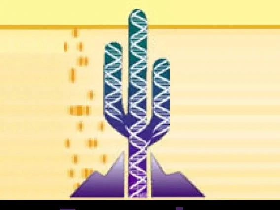 photo of cactus